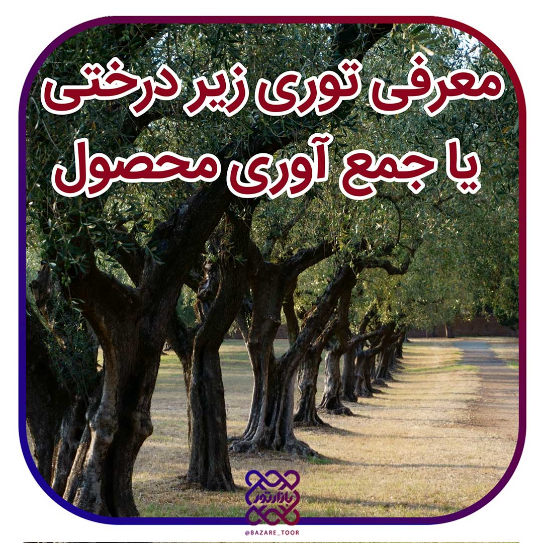 معرفی تور جمع آوری محصول (زیردرختی) آرکاتور