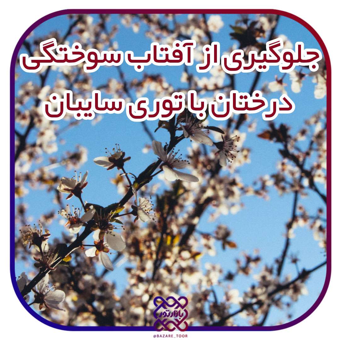 جلوگیری از آفتاب سوختگی درختان با استفاده از توری سایبان