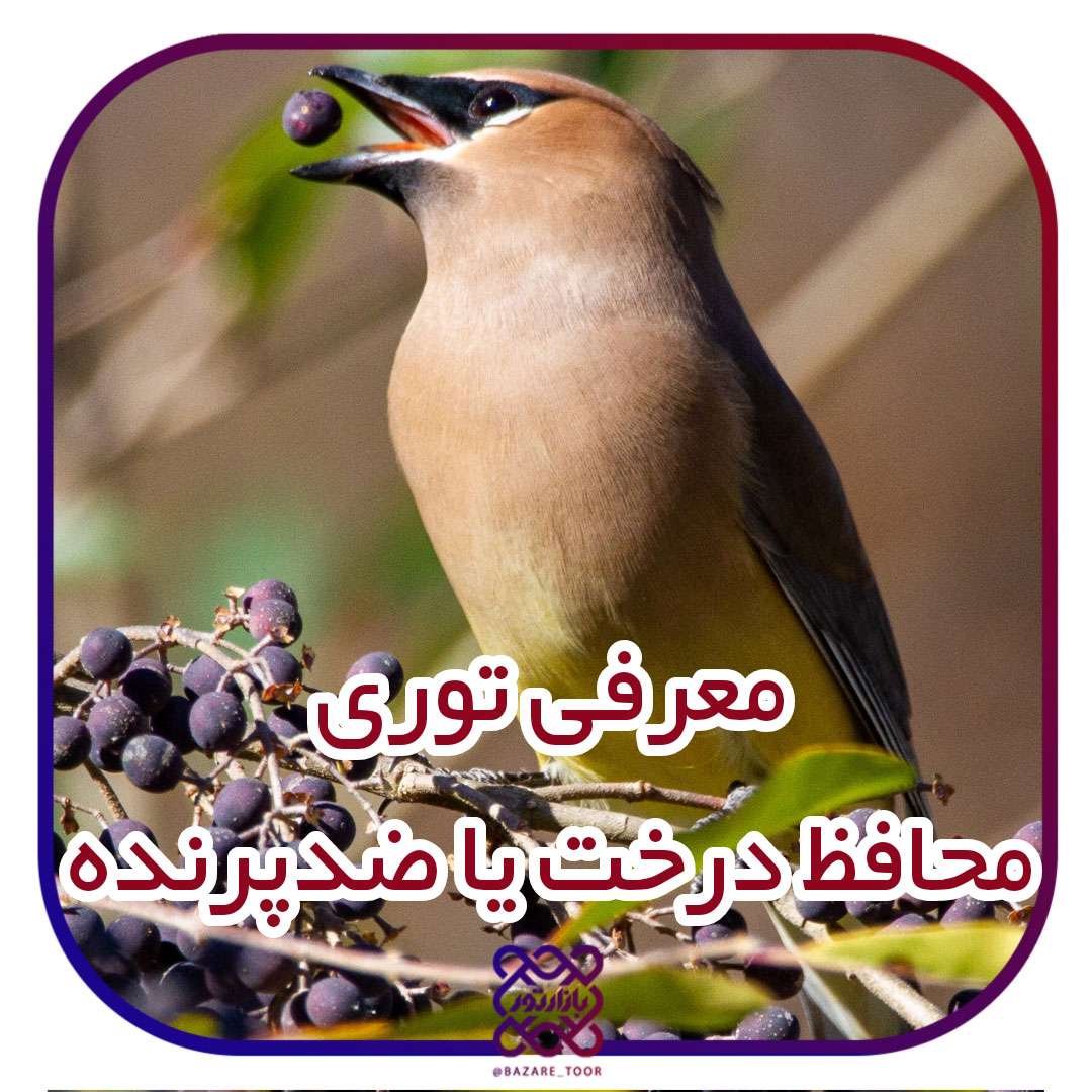 معرفی تور محافظ درخت یا توری ضدپرنده