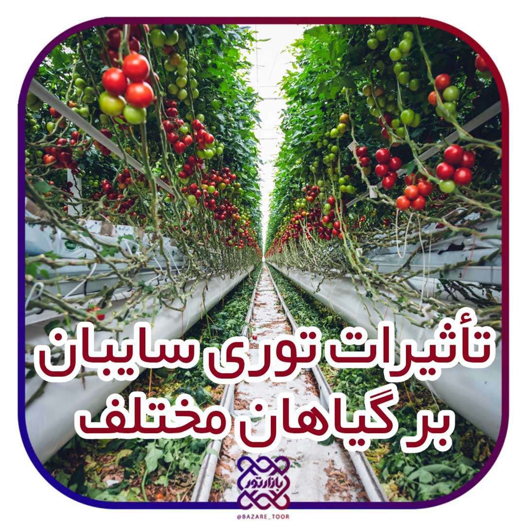 تأثیرات تور سایبان بر گونه های مختلف گیاهی
