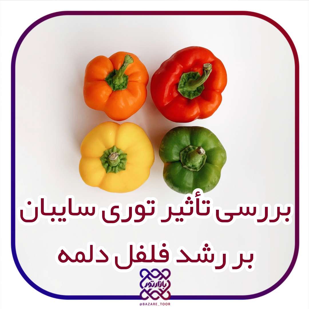 بررسی تاثیر توری سایبان در رشد فلفل دلمه