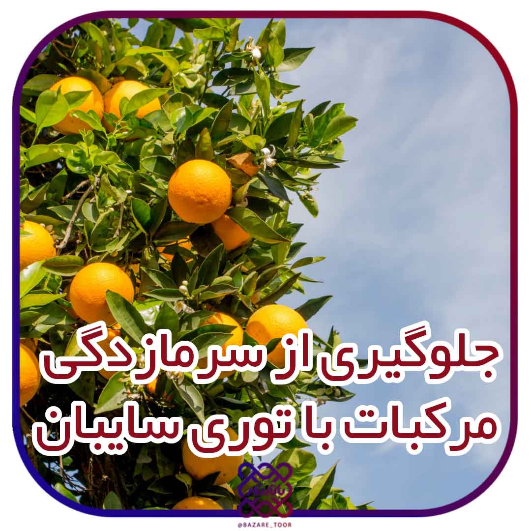 جلوگیری از یخ زدگی مرکبات در زمستان با توری سایبان