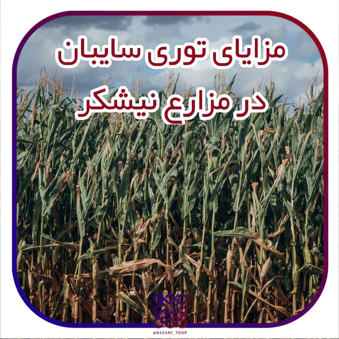 توری سایبان در مزارع نیشکر